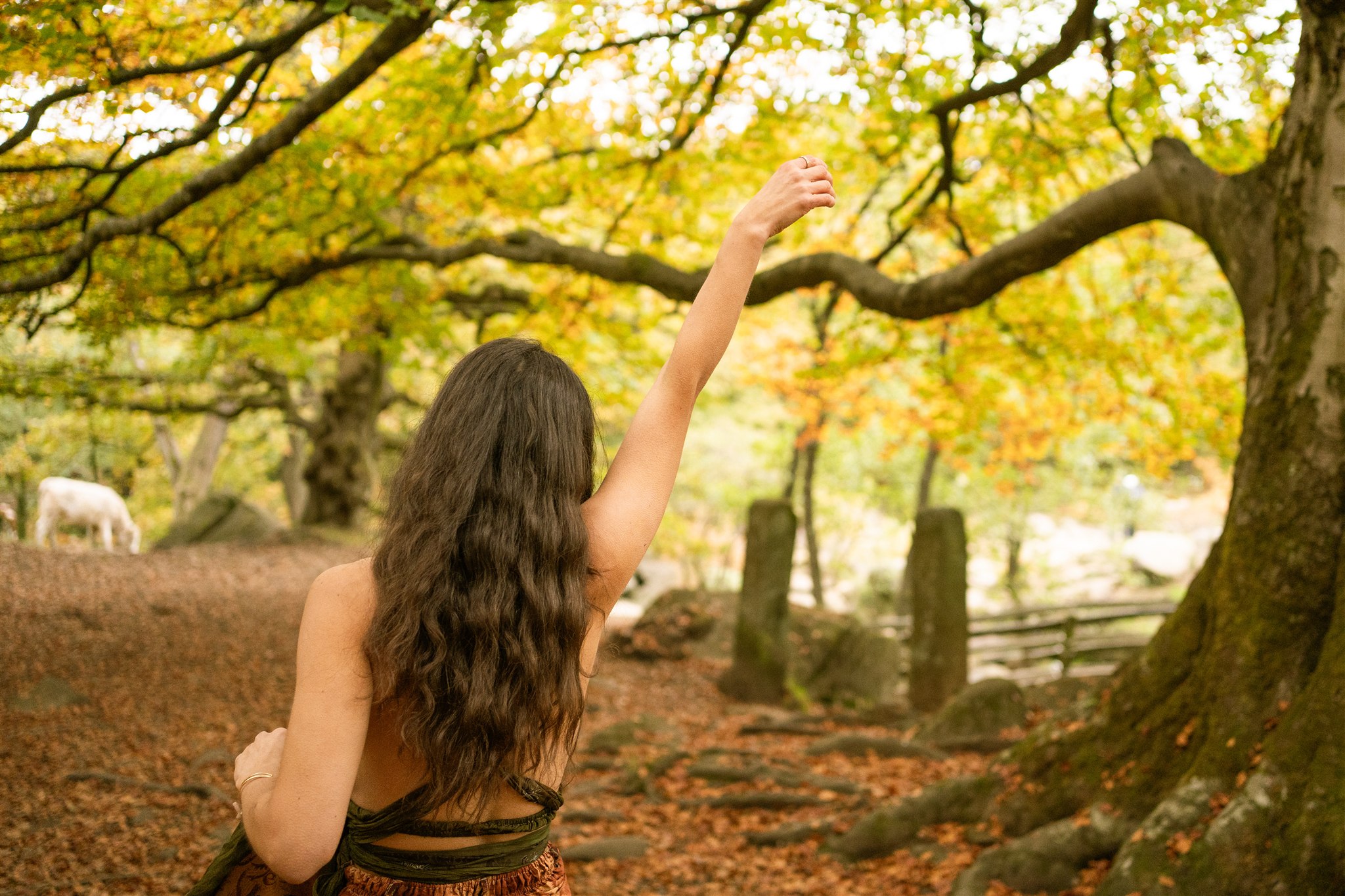 Page Header Background